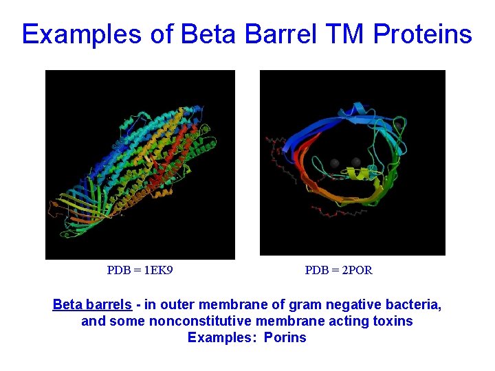 Examples of Beta Barrel TM Proteins PDB = 1 EK 9 PDB = 2