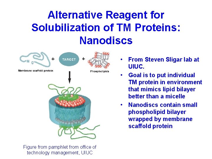 Alternative Reagent for Solubilization of TM Proteins: Nanodiscs • From Steven Sligar lab at