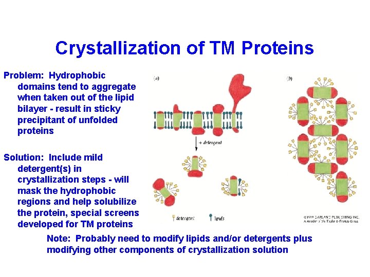 Crystallization of TM Proteins Problem: Hydrophobic domains tend to aggregate when taken out of