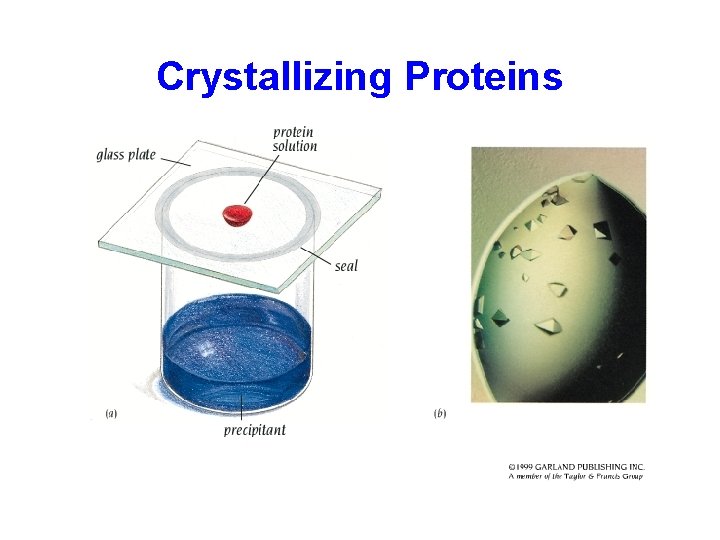 Crystallizing Proteins 