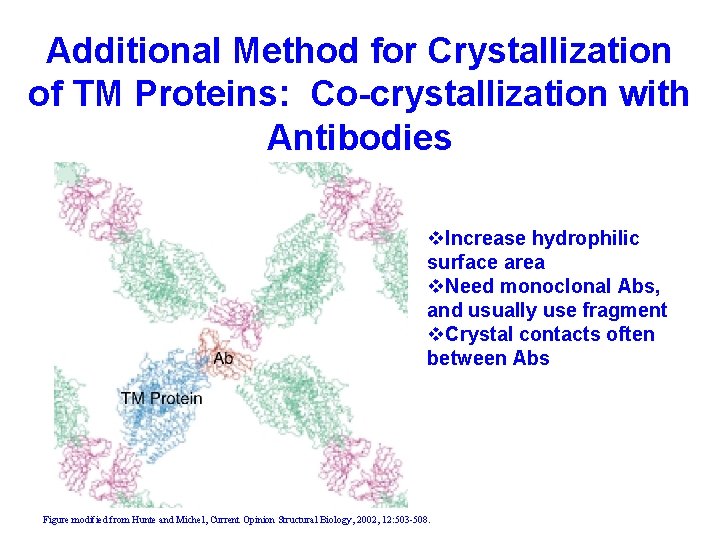 Additional Method for Crystallization of TM Proteins: Co-crystallization with Antibodies v. Increase hydrophilic surface