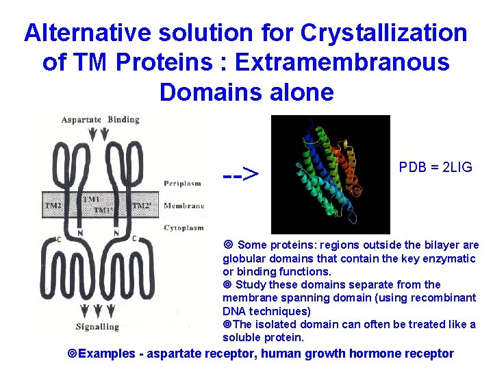 Alternative solution for Crystallization of TM Proteins : Extramembranous Domains alone --> PDB =