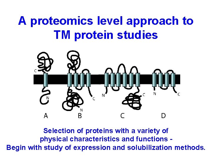 A proteomics level approach to TM protein studies Selection of proteins with a variety