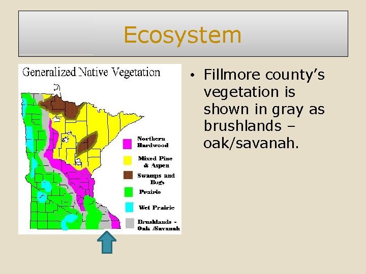 Ecosystem • Fillmore county’s vegetation is shown in gray as brushlands – oak/savanah. 