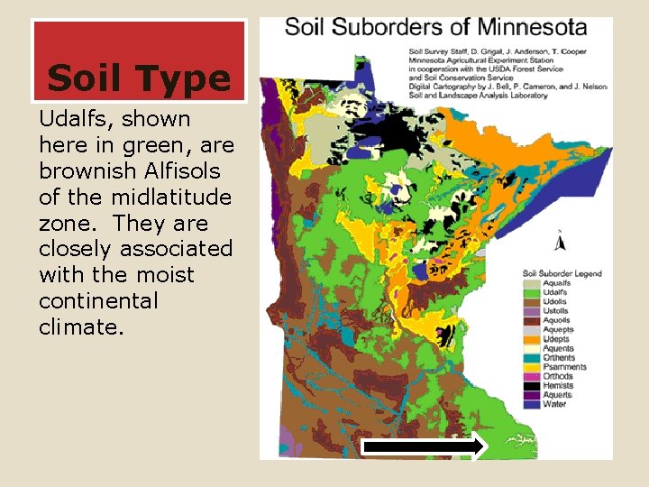 Soil Type Udalfs, shown here in green, are brownish Alfisols of the midlatitude zone.