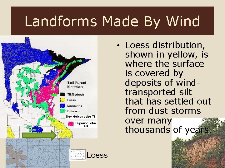 Landforms Made By Wind • Loess distribution, shown in yellow, is where the surface