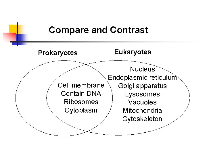 Compare and Contrast Prokaryotes Eukaryotes Nucleus Endoplasmic reticulum Cell membrane Golgi apparatus Contain DNA