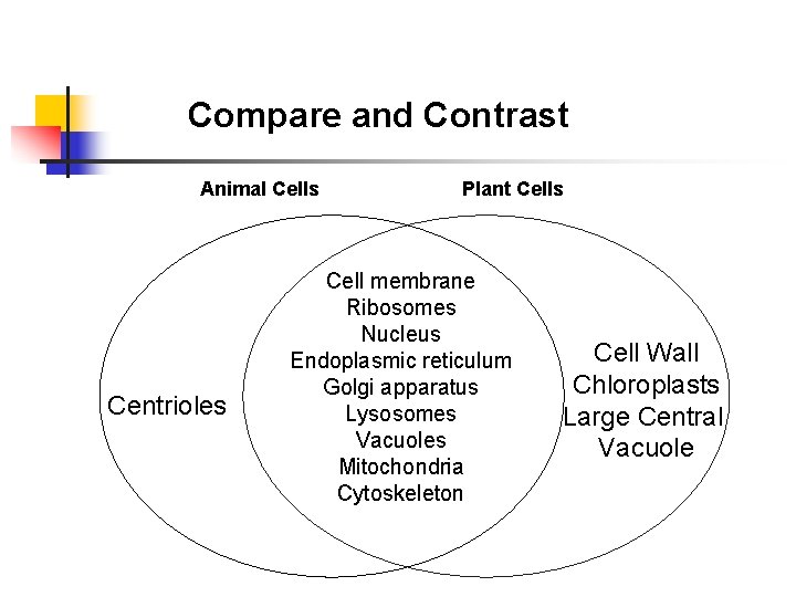 Venn Diagrams Compare and Contrast Animal Cells Centrioles Plant Cells Cell membrane Ribosomes Nucleus
