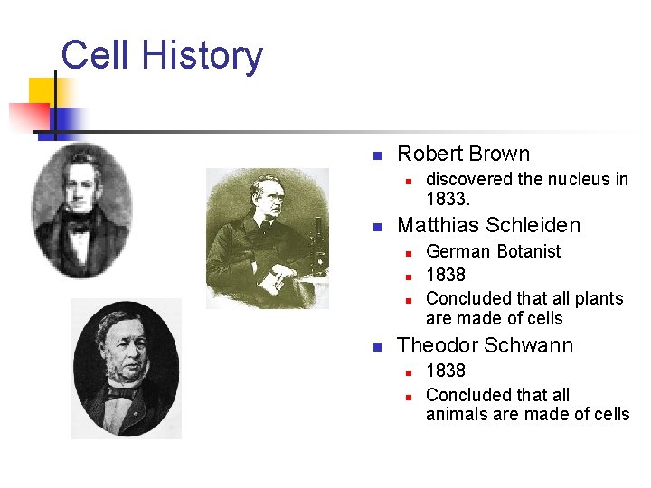 Cell History n Robert Brown n n Matthias Schleiden n n discovered the nucleus