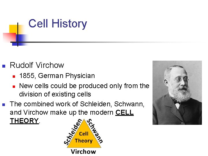 Cell History n Rudolf Virchow 1855, German Physician n New cells could be produced