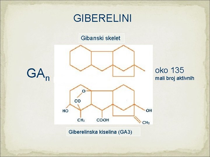 GIBERELINI Gibanski skelet oko 135 GAn mali broj aktivnih Giberelinska kiselina (GA 3) 