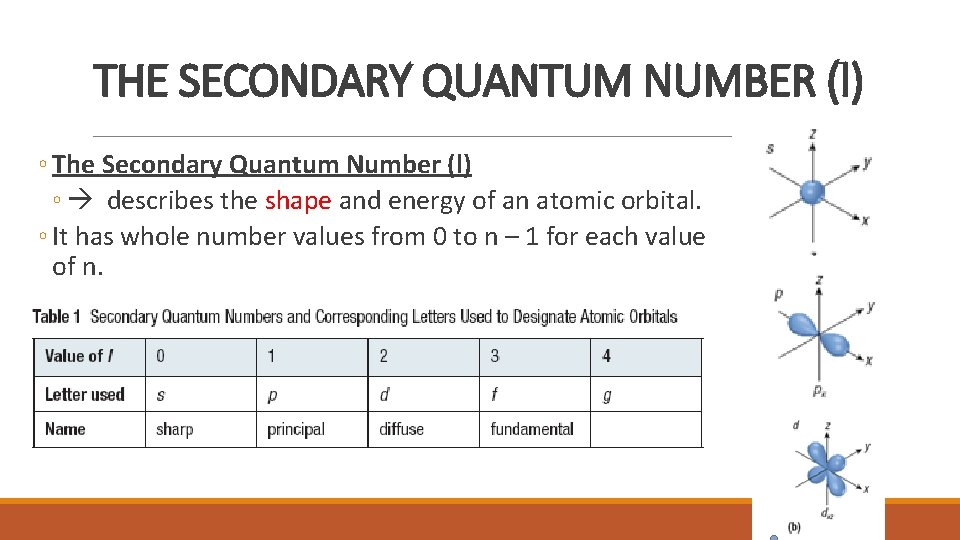THE SECONDARY QUANTUM NUMBER (l) ◦ The Secondary Quantum Number (l) ◦ describes the