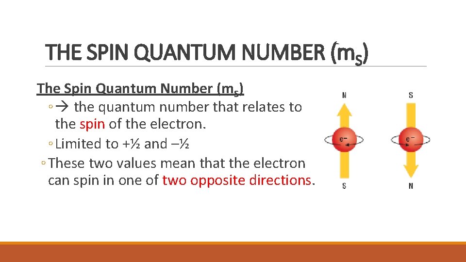 THE SPIN QUANTUM NUMBER (m. S) The Spin Quantum Number (m. S) ◦ the