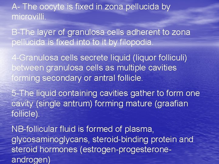 A- The oocyte is fixed in zona pellucida by microvilli. B-The layer of granulosa