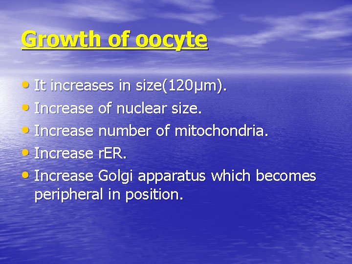 Growth of oocyte • It increases in size(120µm). • Increase of nuclear size. •