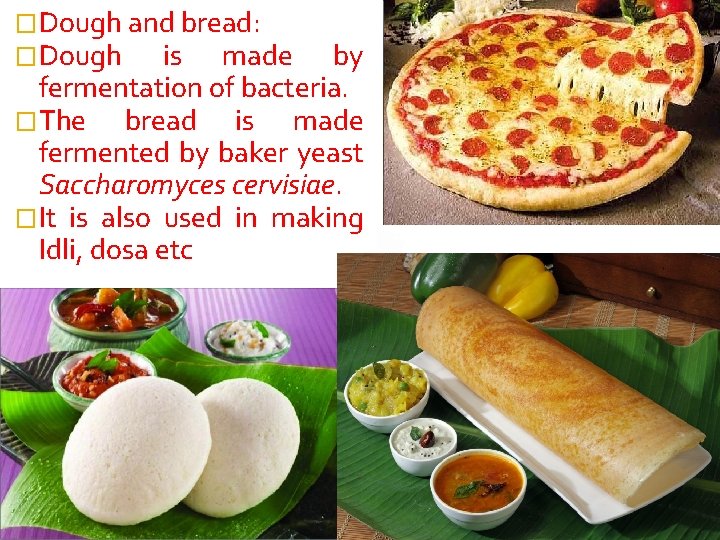 �Dough and bread: �Dough is made by fermentation of bacteria. �The bread is made