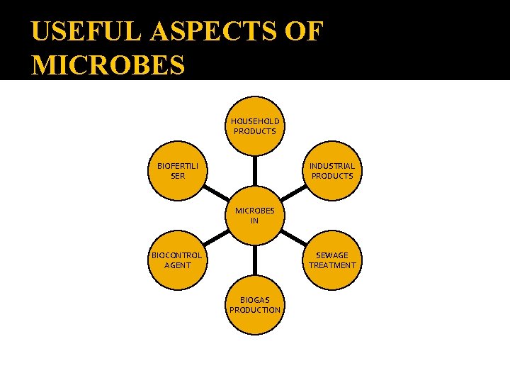 USEFUL ASPECTS OF MICROBES HOUSEHOLD PRODUCTS BIOFERTILI SER INDUSTRIAL PRODUCTS MICROBES IN BIOCONTROL AGENT