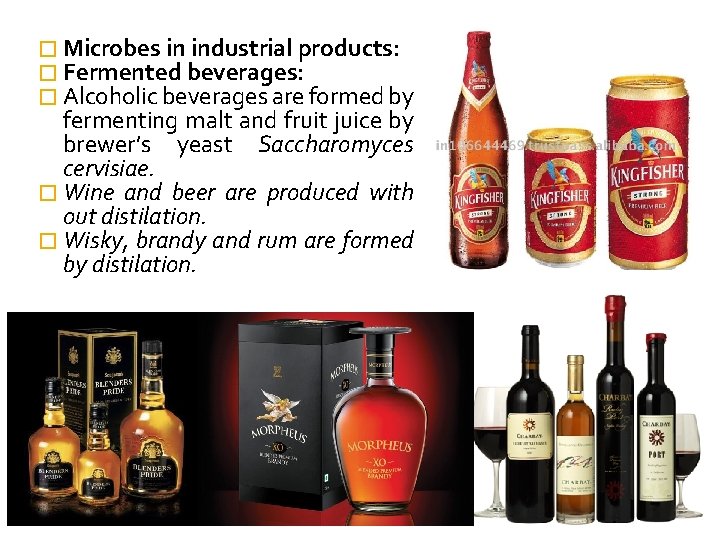 � Microbes in industrial products: � Fermented beverages: � Alcoholic beverages are formed by