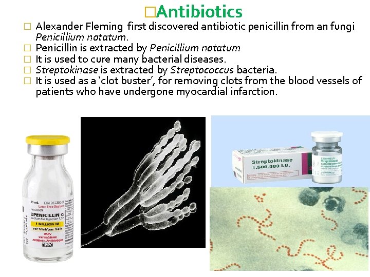 � � � �Antibiotics Alexander Fleming first discovered antibiotic penicillin from an fungi Penicillium