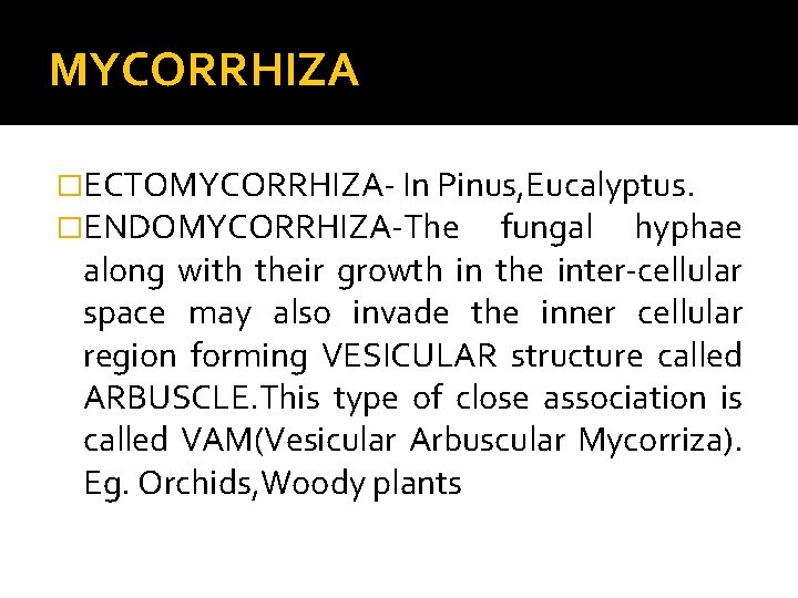 MYCORRHIZA �ECTOMYCORRHIZA- In Pinus, Eucalyptus. �ENDOMYCORRHIZA-The fungal hyphae along with their growth in the