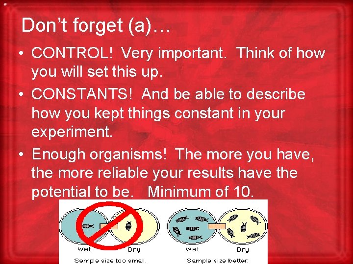 AP Lab 11 Animal Behavior Assignment Sheet Below