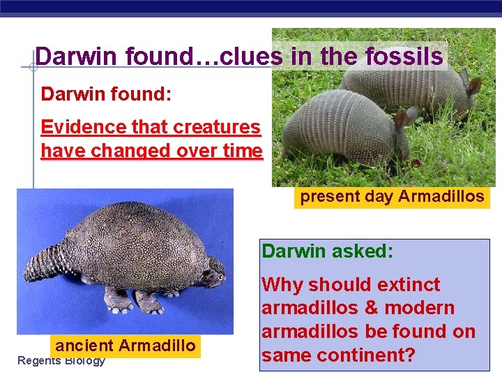 Darwin found…clues in the fossils Darwin found: Evidence that creatures have changed over time