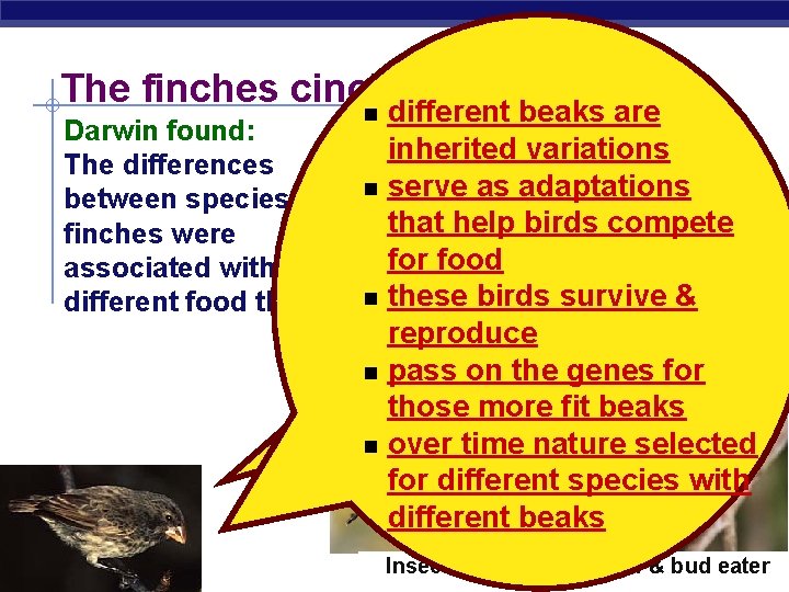 The finches cinched it! different beaks are Darwin found: inherited variations The differences Darwin