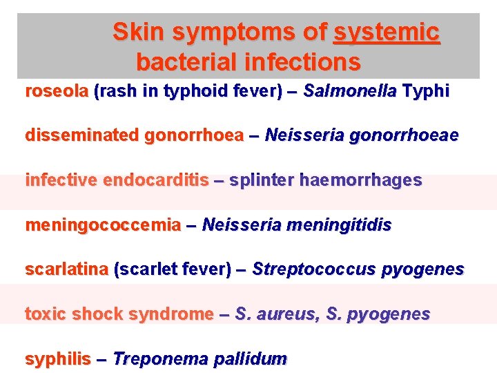 Skin symptoms of systemic bacterial infections roseola (rash in typhoid fever) – Salmonella Typhi