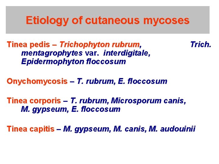 Etiology of cutaneous mycoses Tinea pedis – Trichophyton rubrum, mentagrophytes var. interdigitale, Epidermophyton floccosum