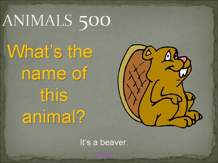 ANIMALS 500 What’s the name of this animal? It’s a beaver. BACK 