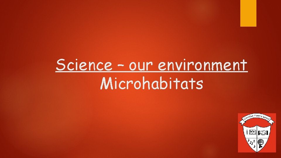 Science – our environment Microhabitats 