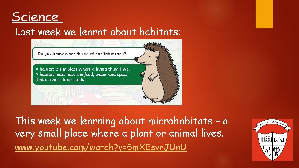 Science Last week we learnt about habitats: This week we learning about microhabitats –