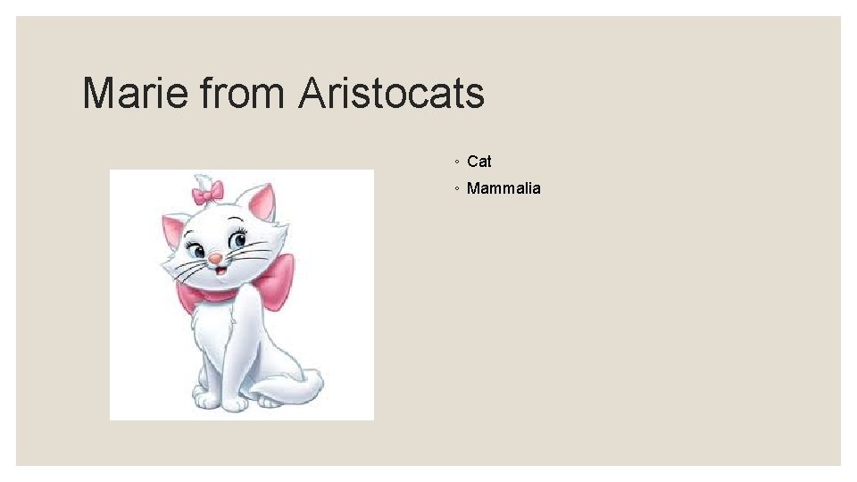 Marie from Aristocats ◦ Cat ◦ Mammalia 