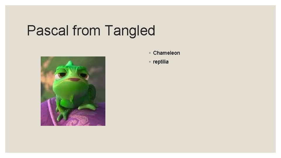 Pascal from Tangled ◦ Chameleon ◦ reptilia 