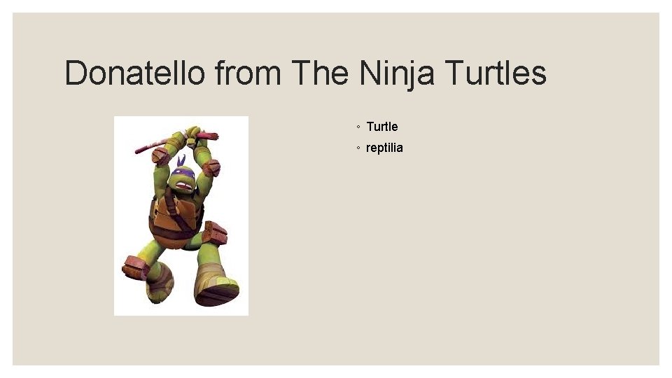 Donatello from The Ninja Turtles ◦ Turtle ◦ reptilia 