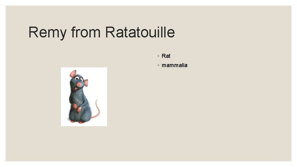 Remy from Ratatouille ◦ Rat ◦ mammalia 