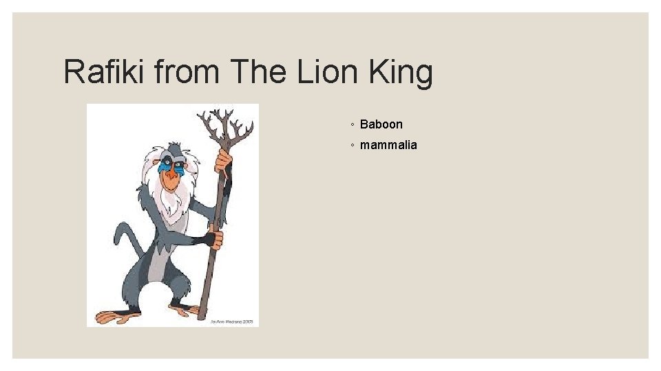 Rafiki from The Lion King ◦ Baboon ◦ mammalia 