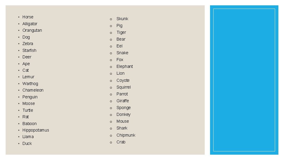 ◦ Horse o Skunk ◦ Alligator o Pig ◦ Orangutan ◦ Dog ◦ Zebra