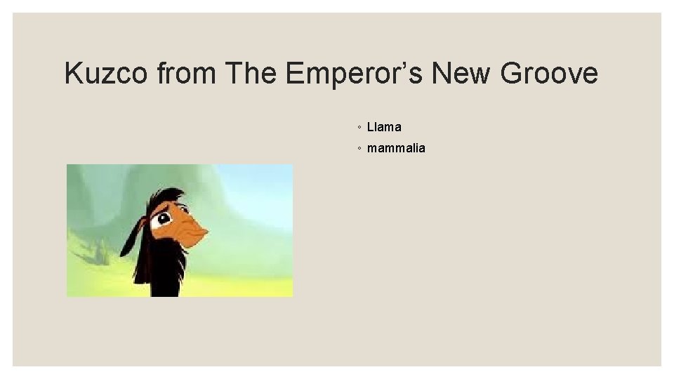 Kuzco from The Emperor’s New Groove ◦ Llama ◦ mammalia 