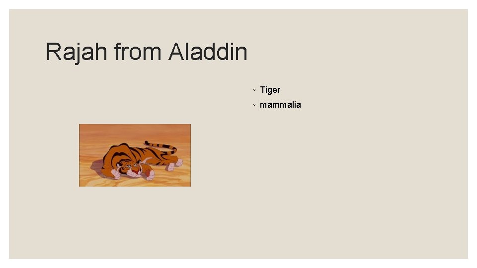 Rajah from Aladdin ◦ Tiger ◦ mammalia 