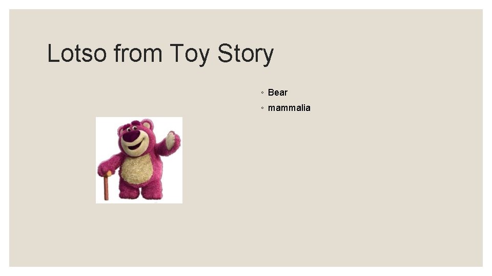 Lotso from Toy Story ◦ Bear ◦ mammalia 