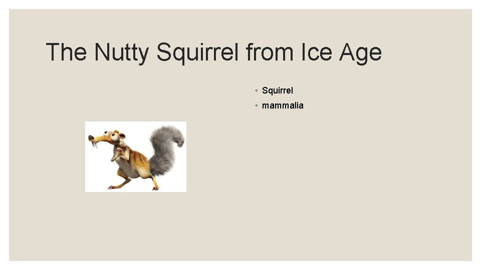 The Nutty Squirrel from Ice Age ◦ Squirrel ◦ mammalia 