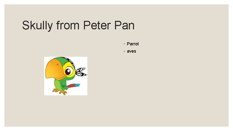 Skully from Peter Pan ◦ Parrot ◦ aves 