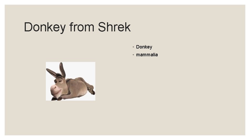 Donkey from Shrek ◦ Donkey ◦ mammalia 