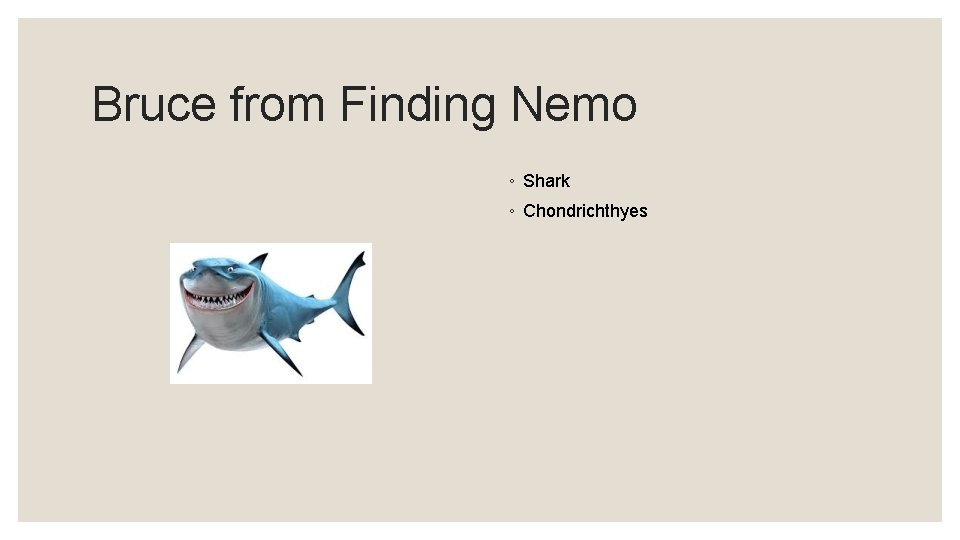 Bruce from Finding Nemo ◦ Shark ◦ Chondrichthyes 