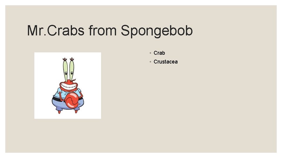 Mr. Crabs from Spongebob ◦ Crab ◦ Crustacea 