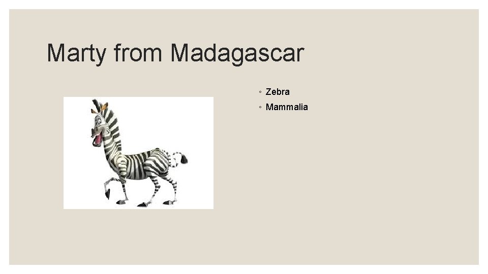 Marty from Madagascar ◦ Zebra ◦ Mammalia 