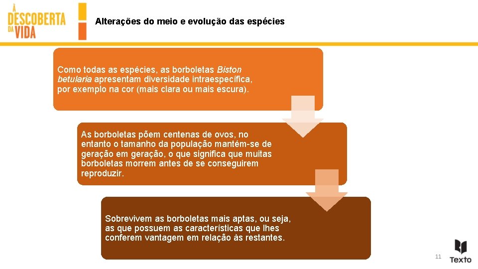 Alterações do meio e evolução das espécies Como todas as espécies, as borboletas Biston