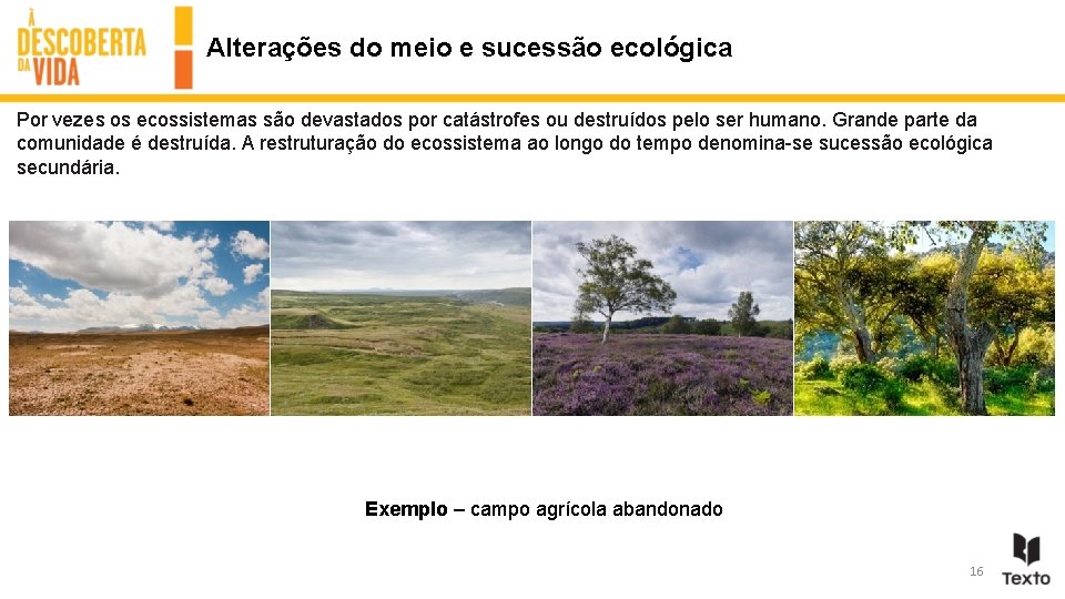 Alterações do meio e sucessão ecológica Por vezes os ecossistemas são devastados por catástrofes