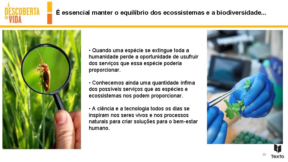 É essencial manter o equilíbrio dos ecossistemas e a biodiversidade. . . • Quando